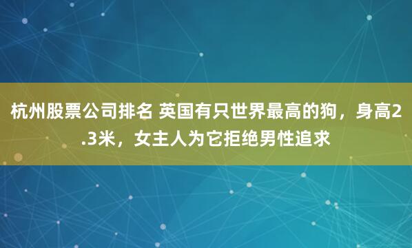 杭州股票公司排名 英国有只世界最高的狗，身高2.3米，女主人为它拒绝男性追求